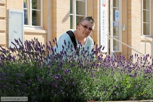 Bild: cw_bk1806150053.jpg - anklicken zum Vergrößern Bild: cw_bk1806150053.jpg - anklicken zum Vergrößern