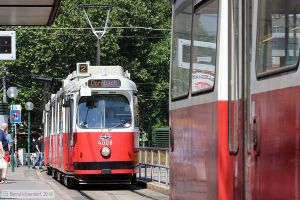 Bild: wien4008_bk1907240023.jpg - anklicken zum Vergrößern