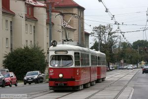 Bild: wien4687_bk0809210026.jpg - anklicken zum Vergrößern