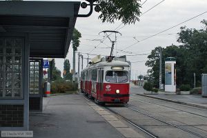 Bild: wien4757_cw0809170187.jpg - anklicken zum Vergrößern Bild: wien4757_cw0809170187.jpg - anklicken zum Vergrößern