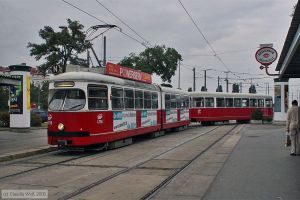 Bild: wien4796_cw0809170177.jpg - anklicken zum Vergrößern