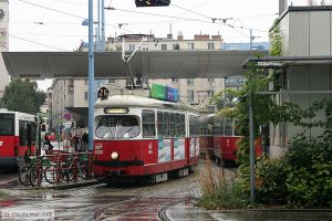 Bild: wien4800_cw0809150114.jpg - anklicken zum Vergrößern