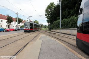 Bild: wien73_bk1707280230.jpg - anklicken zum Vergrößern