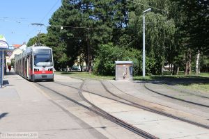 Bild: wien623_bk1907240148.jpg - anklicken zum Vergrößern Bild: wien623_bk1907240148.jpg - anklicken zum Vergrößern
