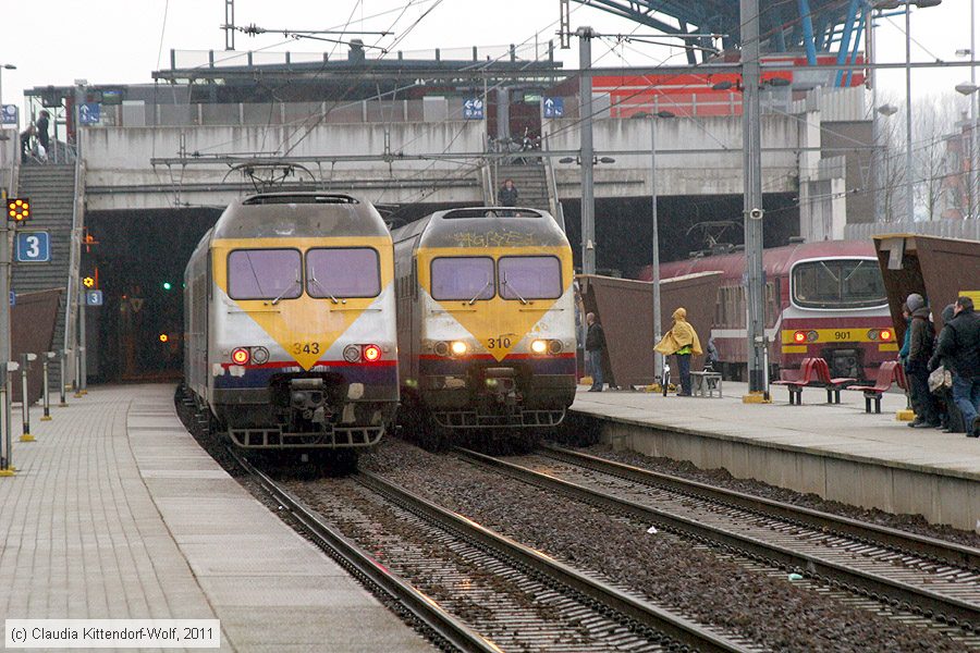 SNCB - 343
/ Bild: sncb343_cw1102230134.jpg