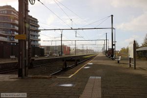 Bild: bfknokke_bk2510270228.jpg - anklicken zum Vergr&ouml;&szlig;ern