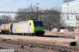 Bild: bls4850079_bk1403120179.jpg - anklicken zum Vergrößern