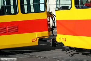 Bild: basel251_bk0802240369.jpg - anklicken zum Vergrößern