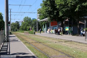 Bild: baselanlagen_bk1806260171.jpg - anklicken zum Vergrößern
