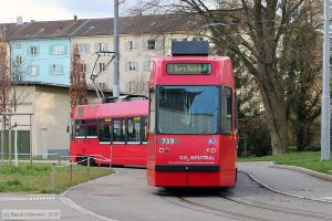 Bild: bern739_bk1804050235.jpg - anklicken zum Vergrößern Bild: bern739_bk1804050235.jpg - anklicken zum Vergrößern