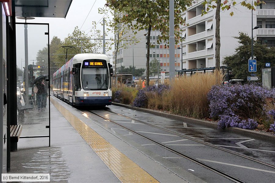 Tram Genève - 888
/ Bild: genf888_bk1610170003.jpg Tram Genève - 888
/ Bild: genf888_bk1610170003.jpg