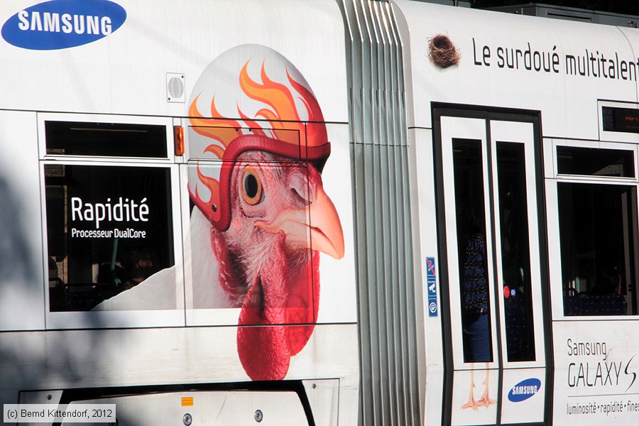 Tram Genève - 897
/ Bild: genf897_bk1208260329.jpg Tram Genève - 897
/ Bild: genf897_bk1208260329.jpg