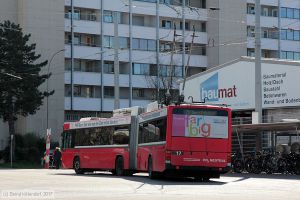Bild: bern17_bk1703270113.jpg - anklicken zum Vergrößern Bild: bern17_bk1703270113.jpg - anklicken zum Vergrößern