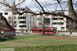 Bild: bern21_bk1804050075.jpg - anklicken zum Vergrößern