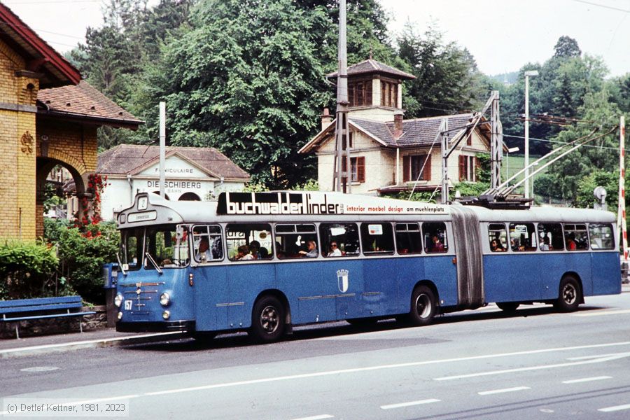Trolleybus Luzern - 157
/ Bild: luzern157_dk022821.jpg