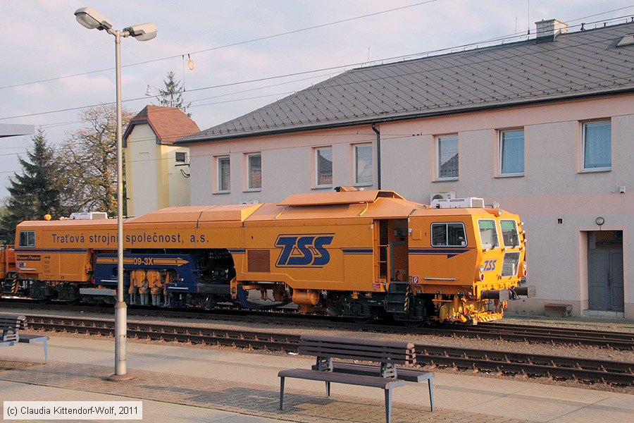 TSS - Gleisstopfmaschine 09-3X
/ Bild: tssplt093x_cw1110200388.jpg