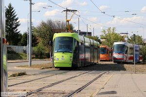 Bild: brno1924_bk1808170489.jpg - anklicken zum Vergrößern Bild: brno1924_bk1808170489.jpg - anklicken zum Vergrößern