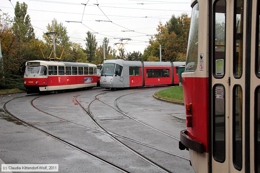 Straßenbahn Praha - 8496
/ Bild: praha8496_cw1110190093.jpg Straßenbahn Praha - 8496
/ Bild: praha8496_cw1110190093.jpg