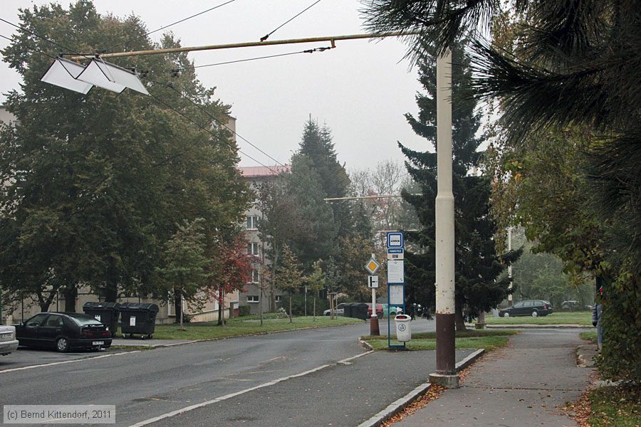 Trolleybus Mariánské Lázně - Anlagen
/ Bild: marianskelazneanlagen_bk1110230180.jpg