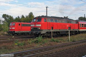 Bild: db2182194_cw004119.jpg - anklicken zum Vergr&ouml;&szlig;ern