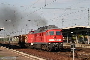 Bild: db2324325_e0019368.jpg - anklicken zum Vergrößern Bild: db2324325_e0019368.jpg - anklicken zum Vergrößern