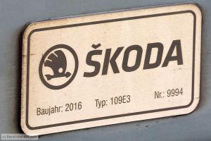 Bild: db102004_bk2506280190.jpg - anklicken zum Vergr&ouml;&szlig;ern