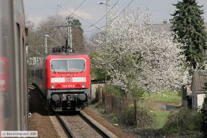 Bild: db1439710_bk0804150204.jpg - anklicken zum Vergrößern