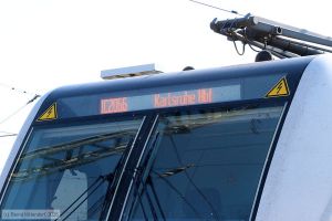 Bild: db1475821_bk2506280348.jpg - anklicken zum Vergr&ouml;&szlig;ern