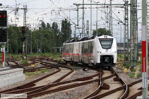 Bild: db4635645_bk2107080079.jpg - anklicken zum Vergrößern