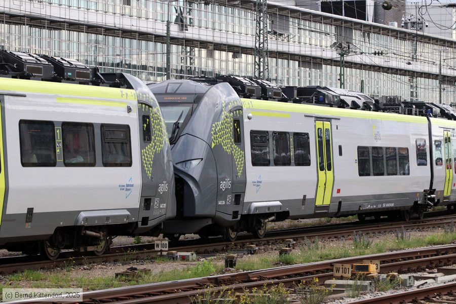 Agilis - 1463 704
/ Bild: agilis14637045_bk2506270156.jpg