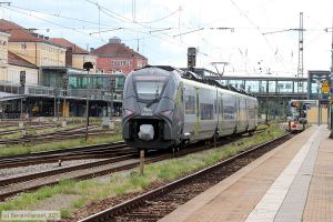 Bild: agilis14632236_bk2506270118.jpg - anklicken zum Vergr&ouml;&szlig;ern