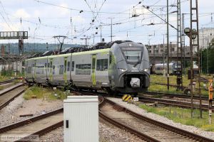 Bild: agilis14637235_bk2506270112.jpg - anklicken zum Vergr&ouml;&szlig;ern