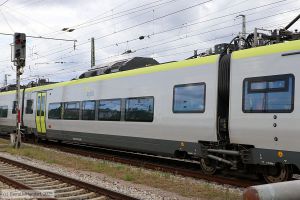 Bild: agilis18632232_bk2506270115.jpg - anklicken zum Vergr&ouml;&szlig;ern