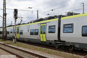 Bild: agilis18637231_bk2506270114.jpg - anklicken zum Vergr&ouml;&szlig;ern