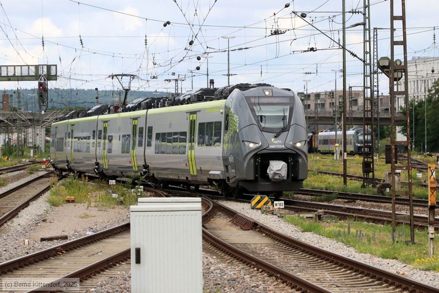 Agilis - 1463 723
/ Bild: agilis14637235_bk2506270112.jpg