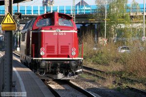 Bild: efw2123255_bk1004220438.jpg - anklicken zum Vergr&ouml;&szlig;ern