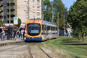 Bild: rnv4123_bk2408270001.jpg - anklicken zum Vergrößern Bild: rnv4123_bk2408270001.jpg - anklicken zum Vergrößern