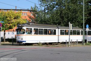 Bild: rnv1018_bk2007230026.jpg - anklicken zum Vergr&ouml;&szlig;ern