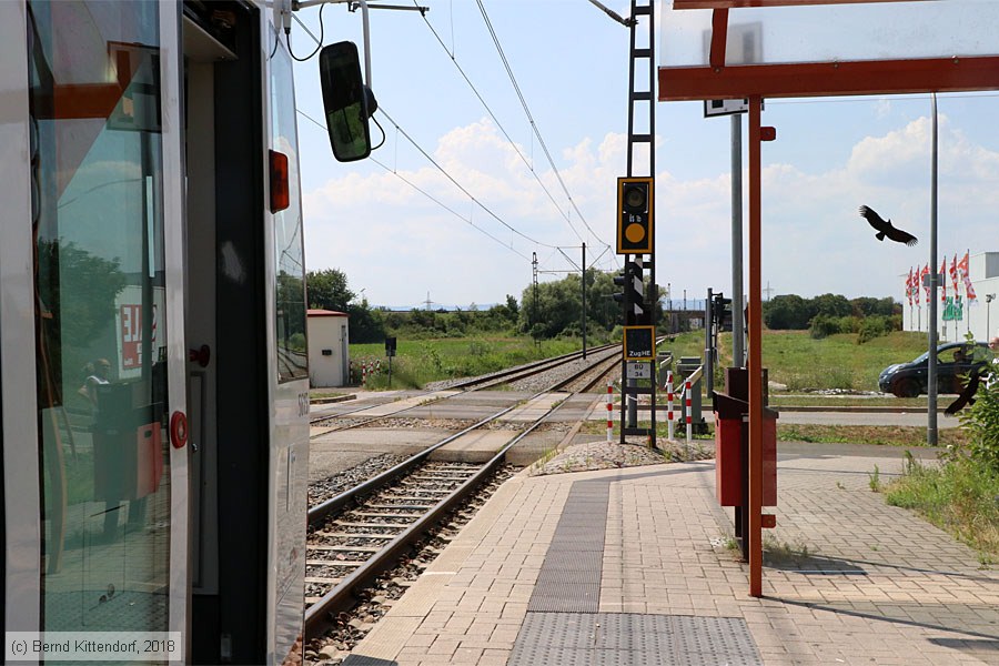 Rhein-Haardtbahn - Anlagen
/ Bild: rhbanlagen_bk1807140004.jpg