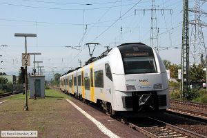 Bild: transregio4600060_bk1108230079.jpg - anklicken zum Vergrößern