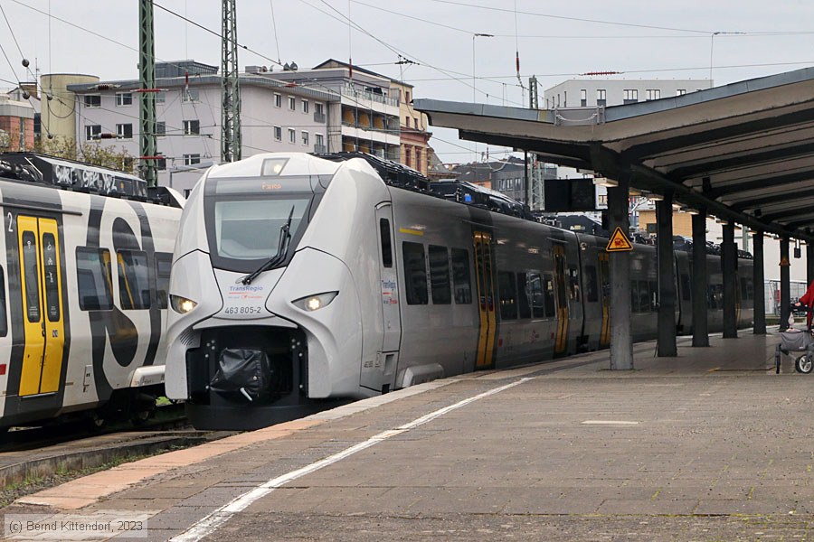 Transregio - 463805-2
/ Bild: transregio4638052_bk2303290034.jpg