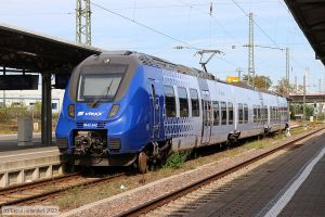 Bild: vlexx8442642_bk2310060033.jpg - anklicken zum Vergrößern