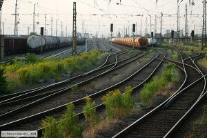 Bild: bfgrosskorbetha_e0006736.jpg - anklicken zum Vergr&ouml;&szlig;ern