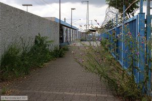 Bild: bfmannheimwaldhof_bk2107280008.jpg - anklicken zum Vergrößern