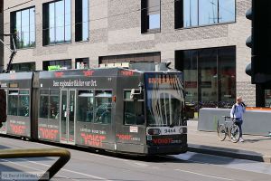 Bild: bonn9464_bk2506170232.jpg - anklicken zum Vergr&ouml;&szlig;ern