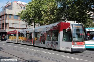 Bild: bonn9473_bk1408080063.jpg - anklicken zum Vergrößern
