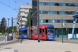 Bild: darmstadt9862_bk2506030047.jpg - anklicken zum Vergr&ouml;&szlig;ern
