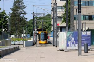Bild: darmstadt22114_bk2506030050.jpg - anklicken zum Vergr&ouml;&szlig;ern