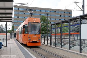 Bild: darmstadt1501_bk2506030071.jpg - anklicken zum Vergr&ouml;&szlig;ern