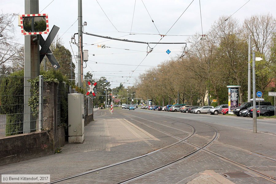 Straßenbahn Darmstadt - Anlagen
/ Bild: darmstadtanlagen_bk1704050059.jpg